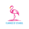 flamingo_of_istanbul Avatar