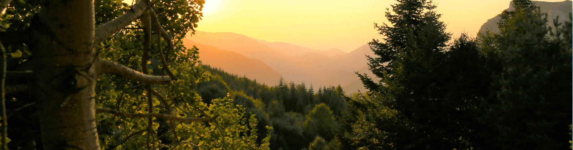 The Dazzling Beauty of Bolu During The Winter Banner