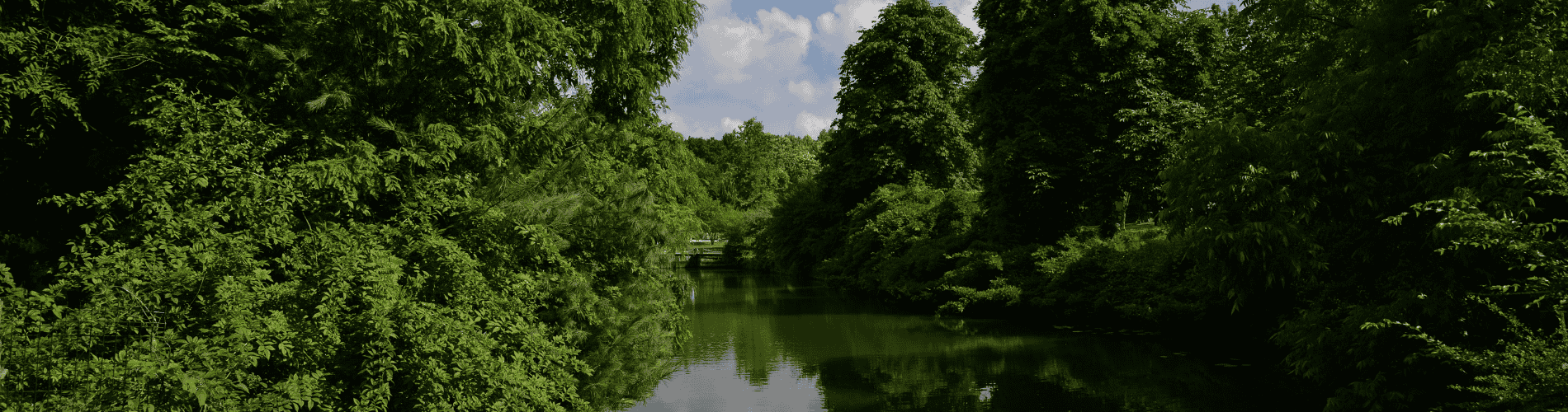 Places with Stunning Nature You Must Visit If You Come to Istanbul Image