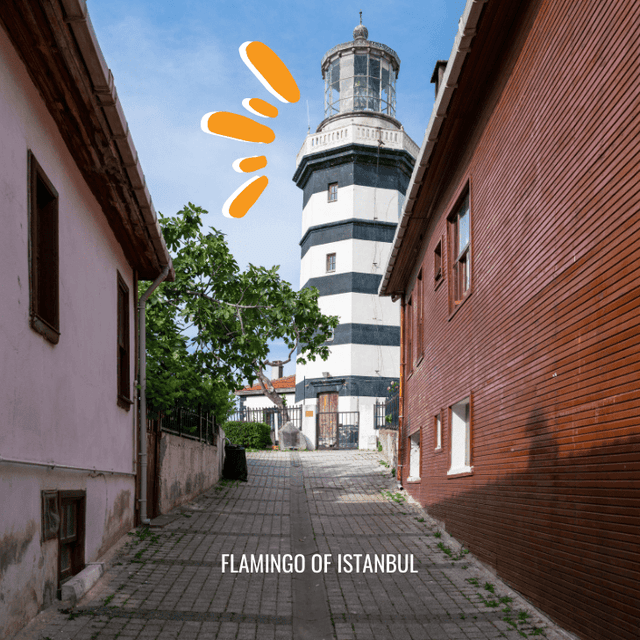 Sile Agva Tour Image