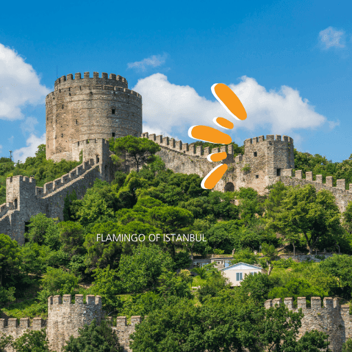 Bosphorus Tours third image