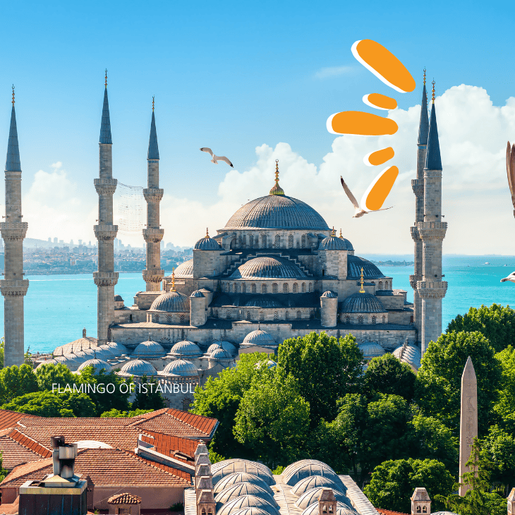 Half Day Afternoon Sultanahmet Tour first image