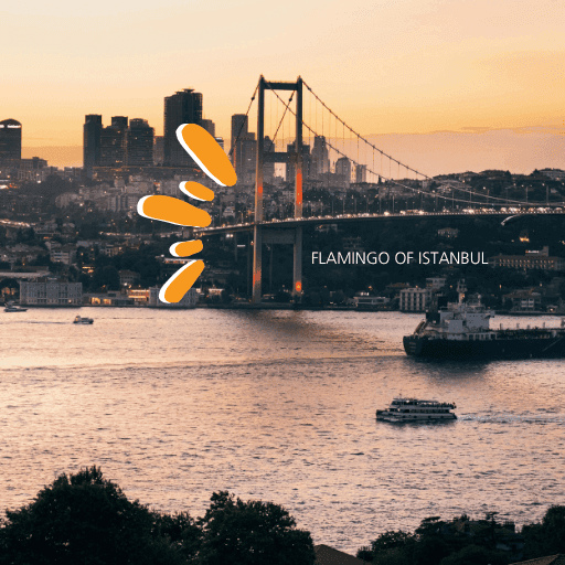 Half Day Afternoon Sultanahmet Tour second image