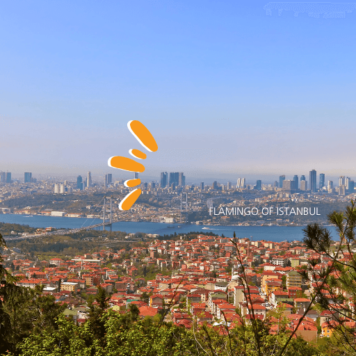 Daily Istanbul Tour (Two Continents) forth image