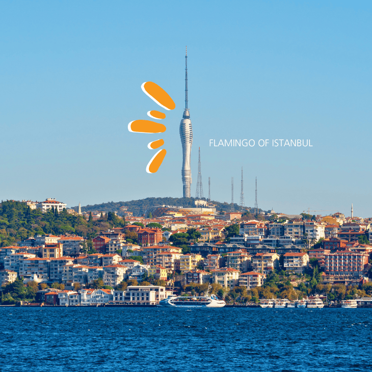 Half Day Asia Tour first image