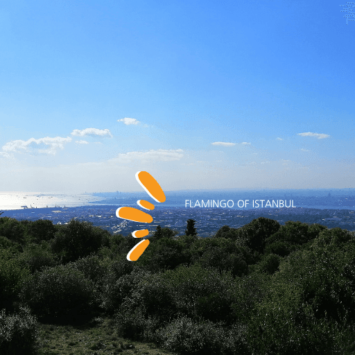 Half Day Asia Tour forth image