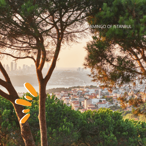 Half Day Asia Tour fifth image