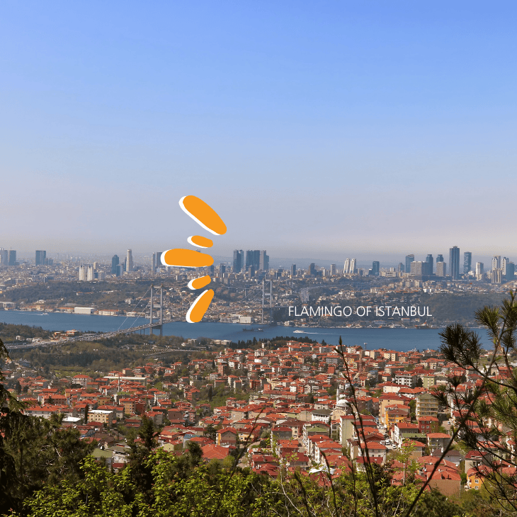 Half Day Europe Tour first image