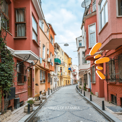 Half Day Europe Tour third image