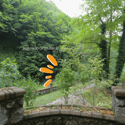 Oubai_aldarra Avatar